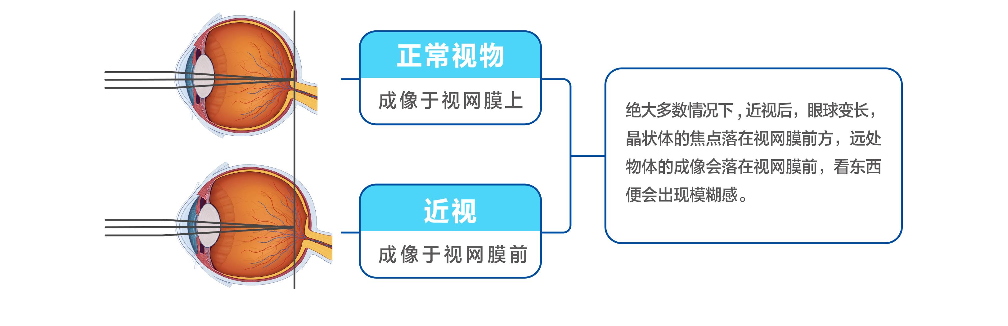 配图1.jpg