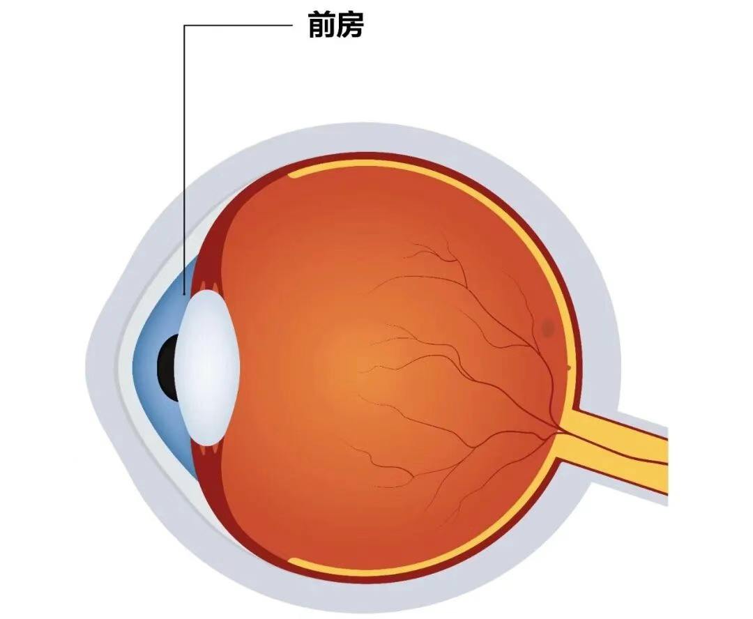 图片.png 图片.png