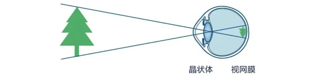 图片.png 图片.png